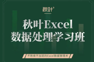 《秋叶Excel数据处理学习班》视频课程合集(带工具表)[MP4][155.55MB][百度网盘下载]