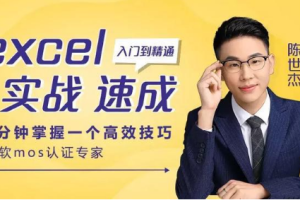 Excel教程视频《零基础Excel实战速成》(微软MOS认证专家陈世杰主讲)[MP4][3.70GB][百度网盘下载]