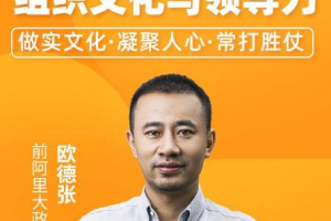 《向阿里学习组织文化与领导力》视频PDF课件[MP4/PDF/][1.59GB][百度网盘下载]
