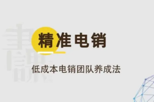 《精准电销》视频课程PDF课件[MP4/PDF][2.02GB][百度网盘下载]