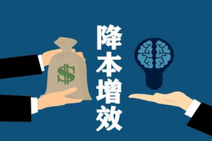 《降本增效》视频[MP4/PDF][1GB][百度网盘下载]