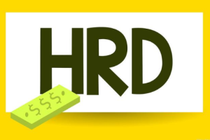 《HRD人力资源管理体系资料常用表格模板》[344.16MB][百度网盘下载]