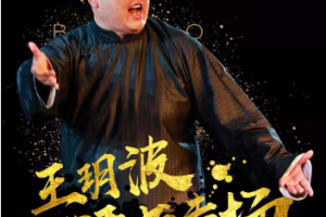 王玥波评书《宋金刚押宝》全1-20回音频合集[MP3][85.10MB]][百度网盘下载