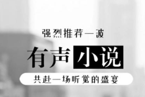 世界听一听-《隐婚》有声小说全1-14回音频合集[MP3][59.32MB]][百度网盘下载