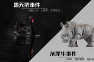 喜马拉雅精品-《黑天鹅》有声小说全1-34回音频合集[MP3][443.54MB]][百度网盘下载