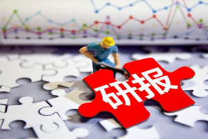 《2021起点研报VIP》[1-11月]课程资料[百度网盘下载]