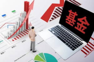 原来基金这么玩 快速掌握并投资[百度网盘下载]