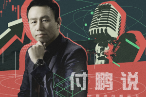 华尔街见闻《付鹏说》[2019-2021]视频含课件[MP4][8.18GB][百度网盘下载]