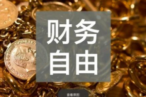 《李欣频&Dalson：财富自由金钱课》音频课程[MP3][1.16GB][百度网盘下载]