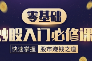 《0基础股票入门必修课》视频[MP4+PDF][967.55MB][百度网盘下载]