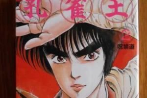 荻野真漫画《孔雀王》1-3部[PNG][8.77GB]][百度网盘下载