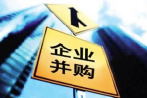 房地产企业并购合作开发实务及法律风险税收筹划视频[MP4][485.17MB][百度网盘下载]