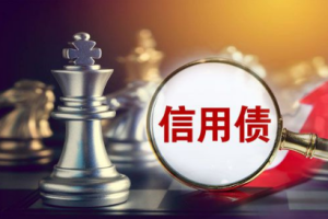 《信用债研究框架及实操案例分析》[MP4][545.48MB][百度网盘下载]