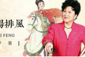 刘兰芳-《大宋少年英雄传奇之烧火丫鬟杨排风》评书全1-15节音频[MP3][77.43MB]][百度网盘下载