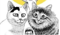 伊藤润二《猫日记》漫画[PNG/140.83MB]][百度网盘下载