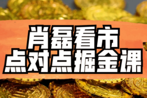 财经-《肖磊看市丨点对点掘金课》课程合集[MP3/MP4/PDF][4.46GB][百度网盘下载]