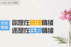 【学习成长】《对话情绪：你的情绪背后隐藏的真实需求是什么？》[MP4/1.97GB][百度网盘下载]