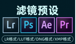 《100款LR滤镜调色预设》PS滤镜Pr调色lightroom人像磨皮lut插件手机[LR格式/LUT格式/DNG格式/XMP格式/22.55GB]][百度网盘下载