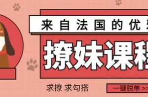 《来自法国的优雅撩妹课程》视频课程合集[MP4][3.28GB][百度网盘下载]