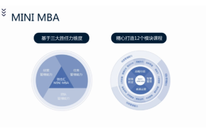 【Mini-MBA】《商业逻辑12讲》视频课程合集[MP4][9.35GB][百度网盘下载]