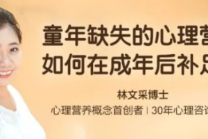 林文采《童年缺失的心理营养如何在成年后补足》[MP4][5.18GB][百度网盘下载]