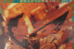 [1993][香港][刘德华]《暖暖柔情粤语精选 Vol.2》FLAC_整轨_387.7MB[百度网盘下载]