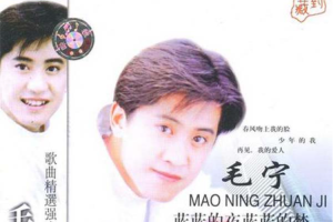 [1994][内地][毛宁]《蓝蓝的夜蓝蓝的梦》WAV+CUE_576.6MB[百度网盘下载]