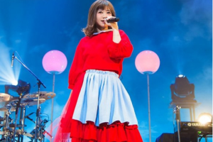 【海外演唱会】《[BD日本演唱会][MACO love letter Tour 2016 第二次巡回演唱会]》[BDMV][44G][百度网盘下载]