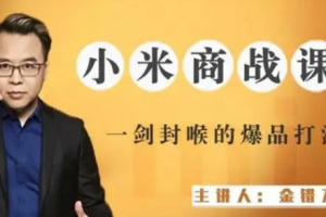 金错刀《小米商战课：揭秘雷军核心打法》[M4A/MP3][312.34MB][百度网盘下载]