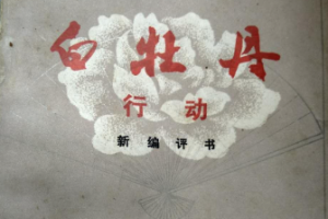 刘兰芳单部评书作品-《白牡丹行动》全1-60节音频大合集[MP3][258.59MB]][百度网盘下载