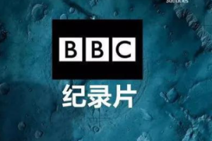 《21天BBC纪录片英语实战训练营》课程合集(视频+原音音频+课件)[MP4/MP3/PDF/4.11GB][百度网盘下载