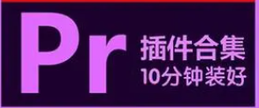 《PR全套插件一键安装去限制版》[5.81GB]][百度网盘下载