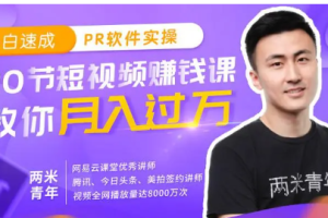《小白速成PR软件实操：20节短视频赚钱课，教你月入过万》[6.21GB]][百度网盘下载