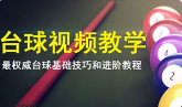 《台球基础技巧和进阶视频教程合集》[MPG/4.56GB]][百度网盘下载
