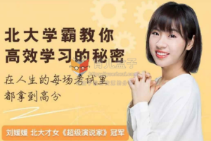 刘媛媛《北大学霸教你高效学习的秘密》音频MP3[带课件][MP3][681.29MB][百度网盘下载]