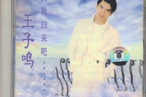 [1996][内地][王子鸣]《为我归来吧》WAV+CUE_461.9MB[百度网盘下载]