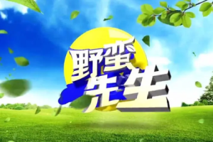 袁腾飞《野蛮先生》第1-2季[MP4][30.35GB][百度网盘下载]