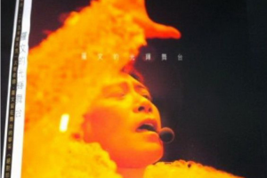 [2003][内地][罗文]《罗文的光辉舞台演唱会》APE_分轨_1.35GB[百度网盘下载]