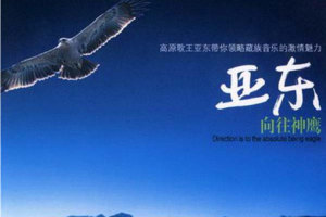 [2003][内地][亚东]《向往神鹰》WAV+CUE_606.5MB[百度网盘下载]