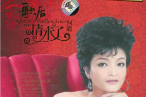 [2004][内地][何璐]《歌后情未了》WAV+CUE_473.4MB[百度网盘下载]