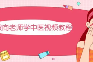 跟向老师学中医视频教程[MP4][百度网盘下载]