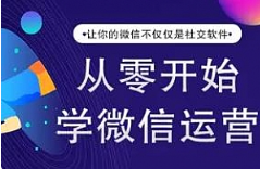 《新媒体震撼全球的微信运营策略》[MP4/2.08GB]][百度网盘下载