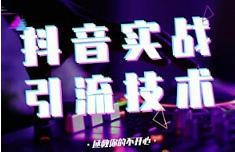 《剑眉大侠：抖音实战引流》视频课程[MP4/400.91MB][百度网盘下载