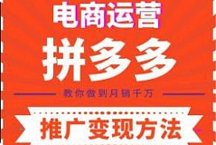 《电商运营之拼多多推广变现方法》音频课程[M4A/139.76MB]百度网盘下载