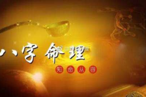 简易命理学：教你学会看八字[mp4/pdf][百度网盘下载]