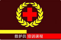 红十字救护员防灾避险培训[百度网盘下载]
