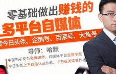 《零基础做出赚钱的多平台自媒体》视频[MP4/837.34MB][百度网盘下载