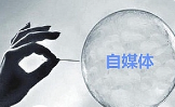 《自媒体文案写作技巧变现资料》电子版[PDF/793.24MB][百度网盘下载