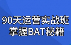《运营实战班90天全掌握BAT秘籍》[MP4/2.98GB]][百度网盘下载