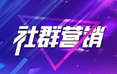 《社群营销与社群运营》视频[MP4/PDF][1.74GB]][百度网盘下载